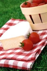 Recetas elegantes de picnic