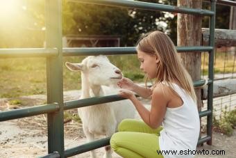 Ideas de fiesta de cumpleaños para niños de 9 años que son totalmente increíbles