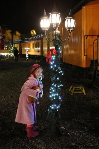 Paseos en tren para la fiesta de Año Nuevo