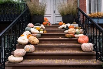 Fiesta de la cosecha de otoño