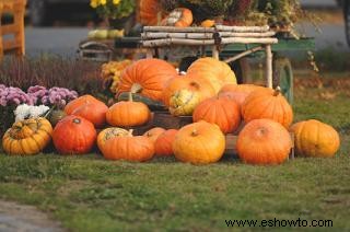 Cómo celebrar el equinoccio de otoño