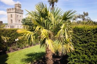 Casarse en Irlanda