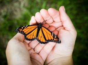 Ideas para una boda temática de mariposas 