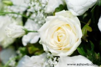 ¿Cuánto cuestan las flores de boda?
