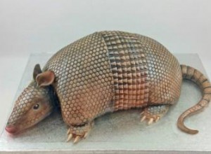 Pastel de Novio Armadillo: El Icono Divertido de  Magnolias de Acero  para Bodas Únicas