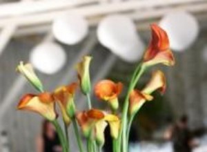 Centros de Mesa para Bodas de Primavera: Ideas Florales y Temáticas Inolvidables