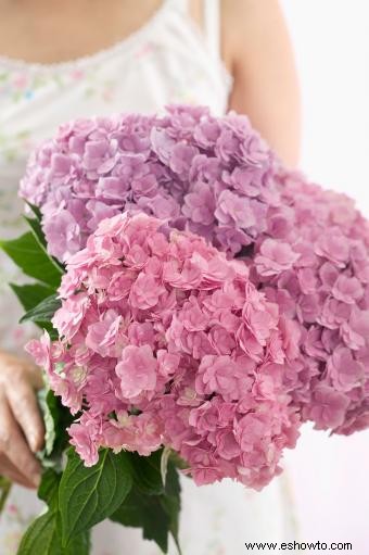 Ramos de novia hechos con hortensias