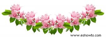 Flores de magnolia para bodas