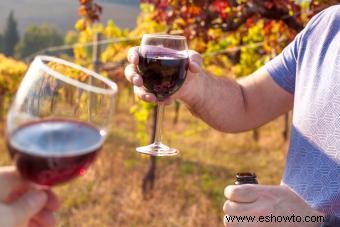 31 diferentes tipos de vino tinto