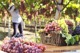 Comparación de diferencias en vinos tintos y blancos