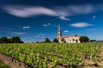 Características de los principales vinos tintos secos