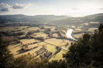 Características de los principales vinos tintos secos