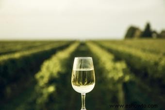 Conceptos básicos del vino de postre:un sabor dulce de los diferentes tipos