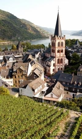 Descubra los vinos blancos del Rin únicos en Alemania