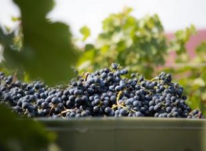 Perfil e historial de sabor de Oregon Pinot Noir
