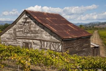 Vinos Zinfandel del condado de Sonoma