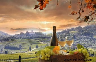 17 mejores recomendaciones de vinos italianos