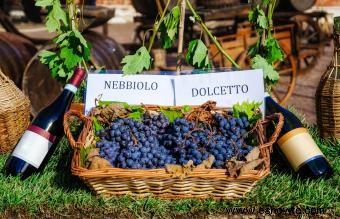 17 mejores recomendaciones de vinos italianos