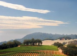 6 excelentes consejos para planificar un tour del vino en Napa