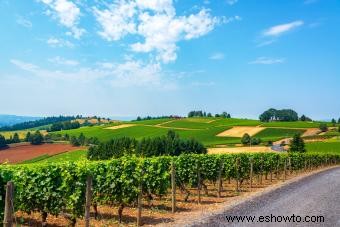 7 mejores bodegas en el valle Willamette de Oregón