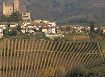 Una guía de vinos icónicos de Gaja