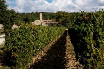 Una guía de vinos icónicos de Gaja