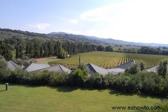 Una guía de vinos icónicos de Gaja