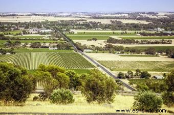 Conocer el vino australiano