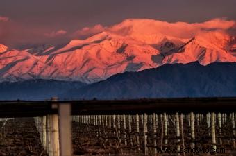 Guía del Vino Argentino