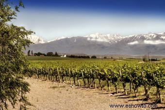 Guía del Vino Argentino