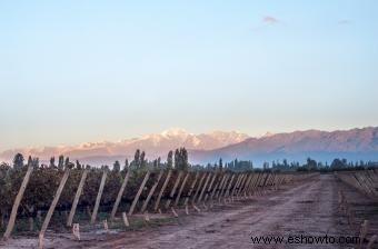 Guía del Vino Argentino