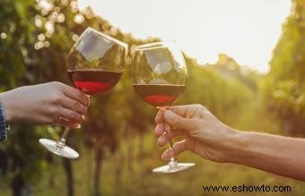 Lo que debe saber sobre las copas de vino Merlot