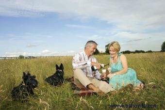 Recomendaciones de los mejores vinos para picnics perfectos