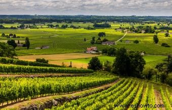 Guía para visitar las bodegas de vino de Burdeos 