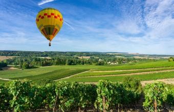 Guía para visitar las bodegas de vino de Burdeos 