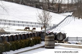 17 encantadoras bodegas de Ohio para visitar