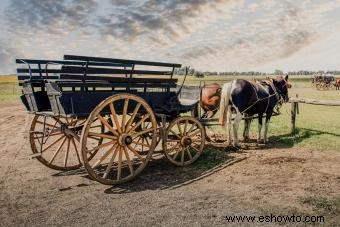 ¿Qué hace que los carros de granja antiguos sean tan únicos?