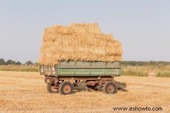 ¿Qué hace que los carros de granja antiguos sean tan únicos?