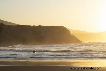 Arte surfero vintage para un estilo inspirado en la playa