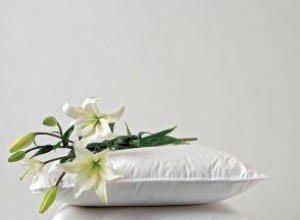 Almohadas de Plumas: Guía Experta para Elegir la Mejor Calidad al Mejor Precio