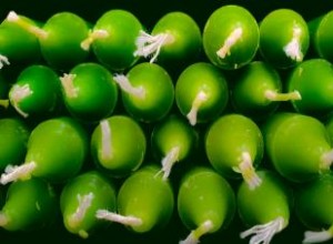 Hechizos Efectivos con Velas Verdes para Atraer Prosperidad Financiera