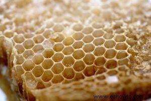 Limpieza de cera de abeja cruda para hacer velas