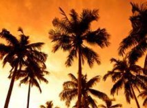 Guía Completa: Cómo Hacer Velas de Gel con Paisaje Marino