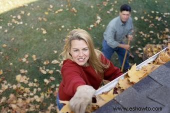 ¿Qué es la limpieza de primavera? Importancia de esta limpieza profunda anual