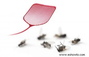 Cómo deshacerse de las moscas