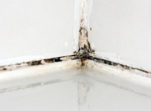 Moho vs. Mildiú: Diferencias Clave para Identificarlos en Tu Hogar