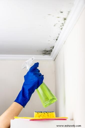 Limpiar el moho de los techos de los baños como un profesional 