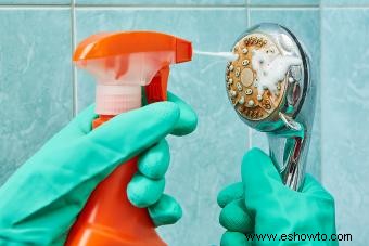 ¿Con qué frecuencia debe limpiar su baño? Conceptos básicos y más