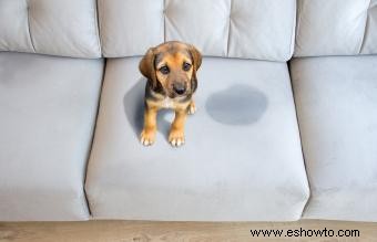 Cómo limpiar a fondo un sofá para mantener la frescura sin manchas