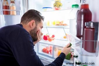 Cuando un refrigerador huele mal (incluso después de limpiarlo):10 soluciones fáciles